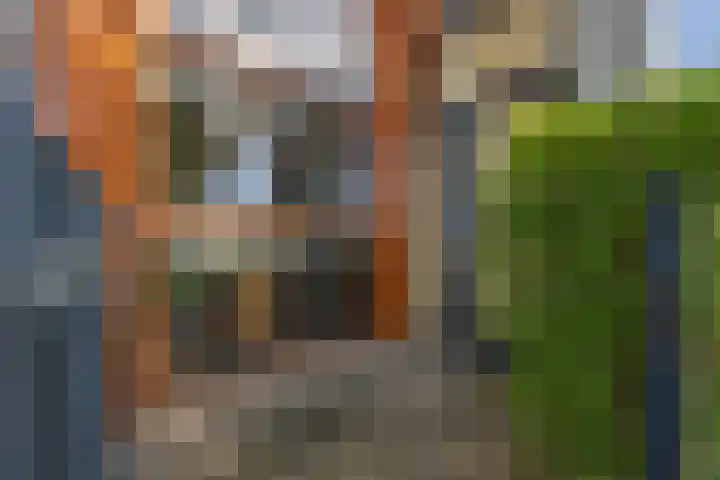 Het Jaagpad 14 Tiel thumbnail 11