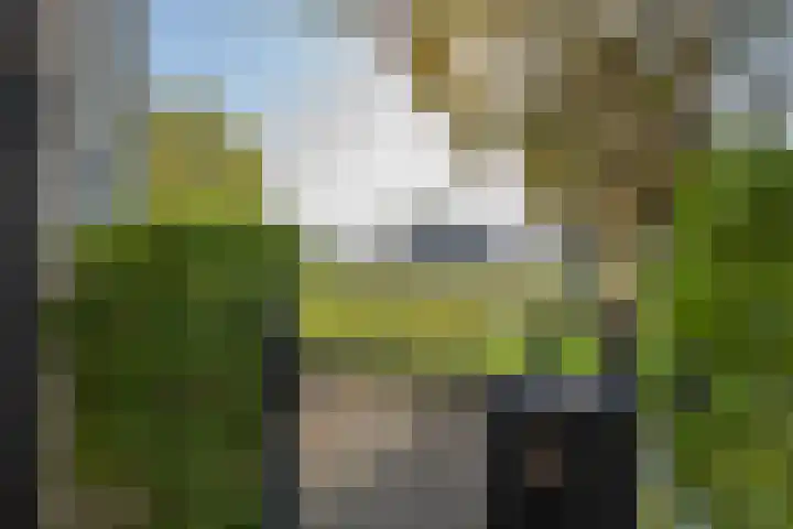 Het Jaagpad 14 Tiel thumbnail 13