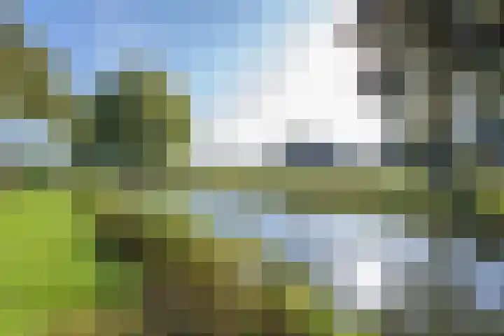Het Jaagpad 14 Tiel thumbnail 14