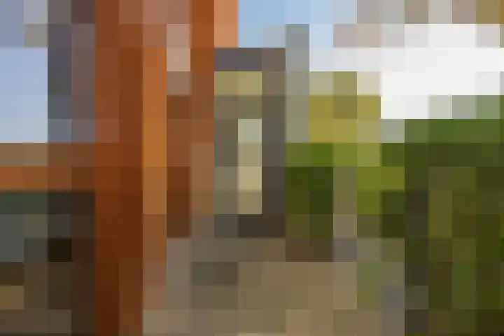 Het Jaagpad 14 Tiel thumbnail 15