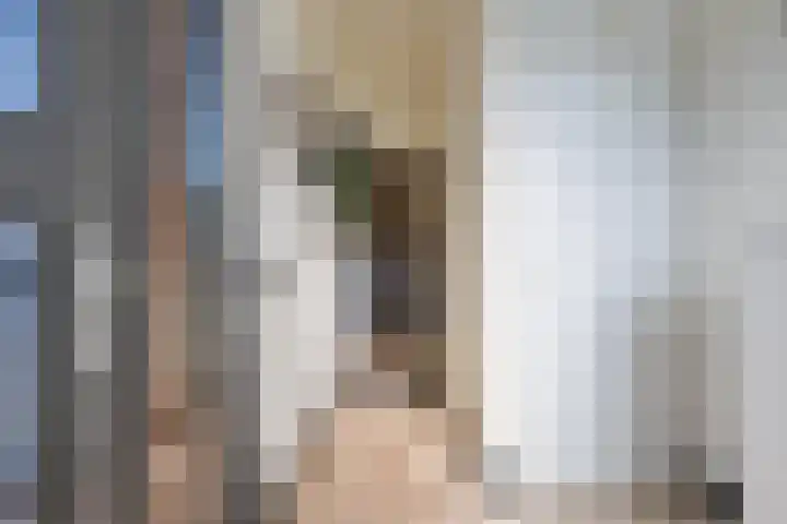 Het Jaagpad 14 Tiel thumbnail 17