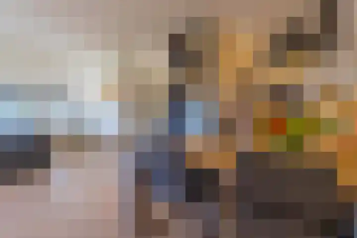 Het Jaagpad 14 Tiel thumbnail 20