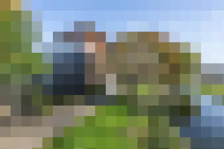 Het Jaagpad 14 Tiel thumbnail 4