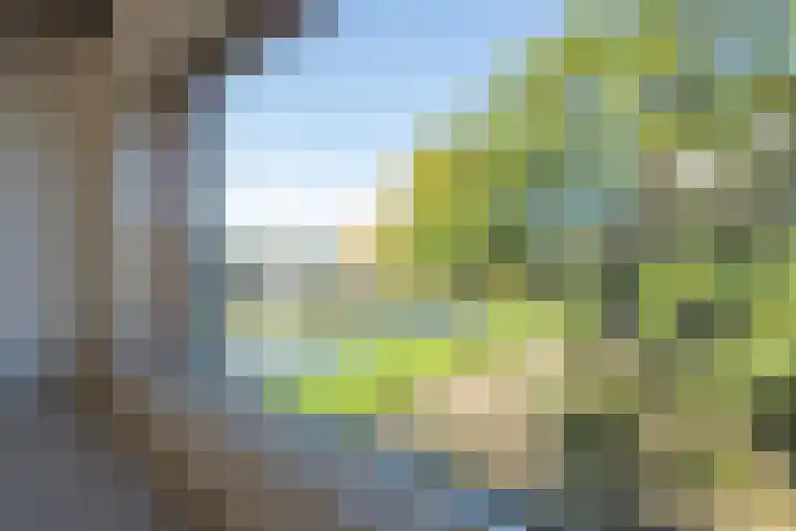 Het Jaagpad 14 Tiel thumbnail 42