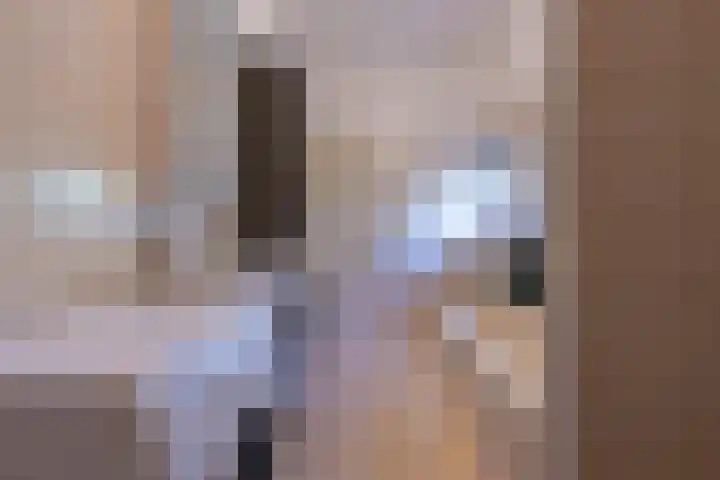 Het Jaagpad 14 Tiel thumbnail 47