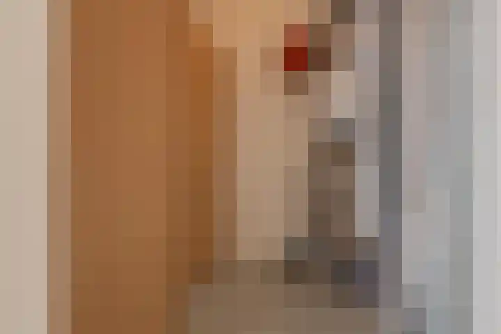 Het Jaagpad 14 Tiel thumbnail 48