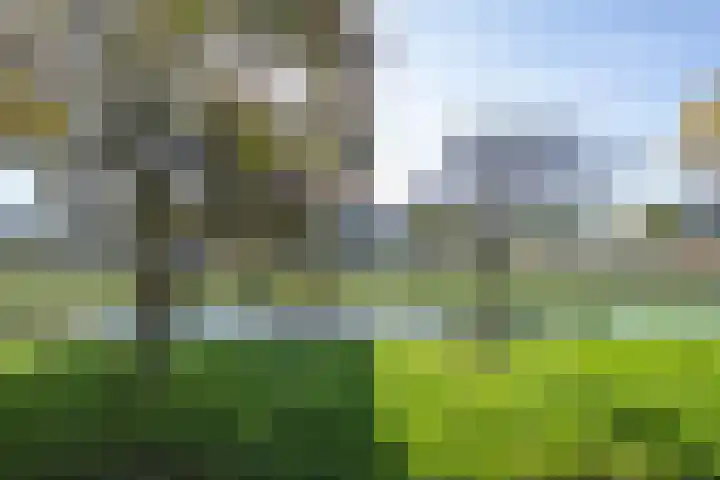 Het Jaagpad 14 Tiel thumbnail 49