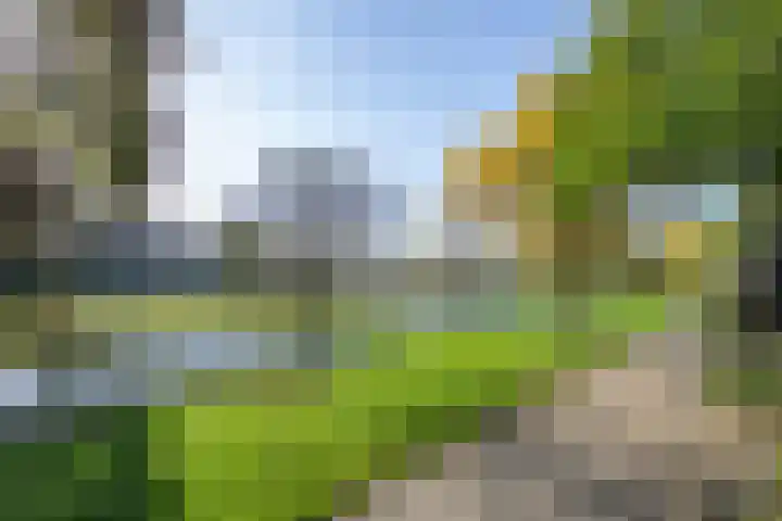 Het Jaagpad 14 Tiel thumbnail 5