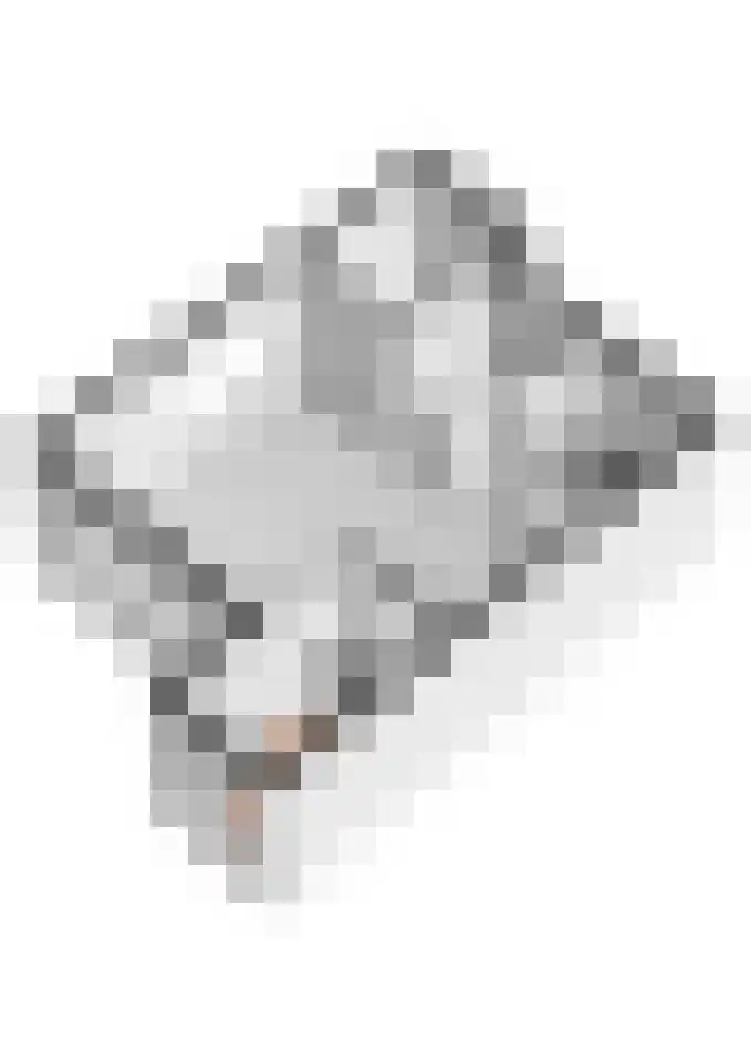 Het Jaagpad 14 Tiel thumbnail 51