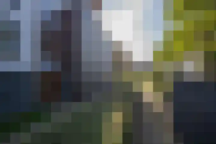 Het Jaagpad 14 Tiel thumbnail 7