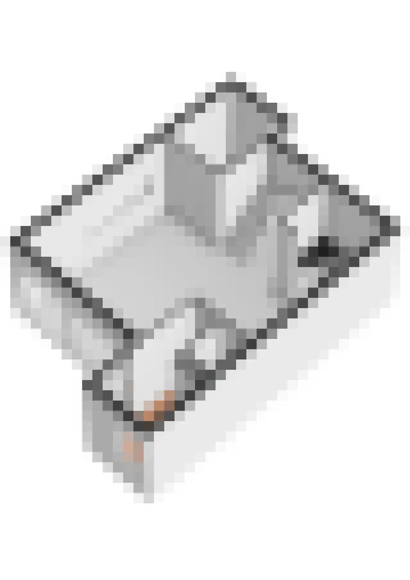 Het Jaagpad 30 Tiel thumbnail 38
