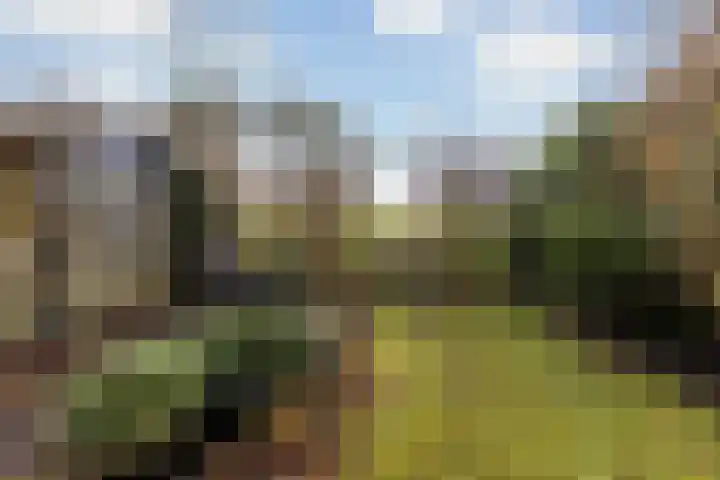 Het Jaagpad 42 Linschoten thumbnail 15