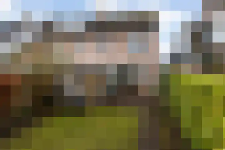 Het Jaagpad 42 Linschoten thumbnail 20