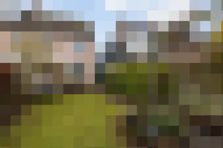 Het Jaagpad 42 Linschoten thumbnail 21