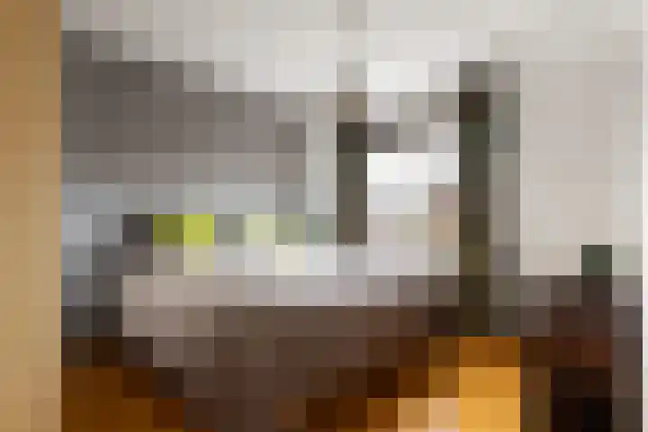 Het Jaagpad 42 Linschoten thumbnail 22
