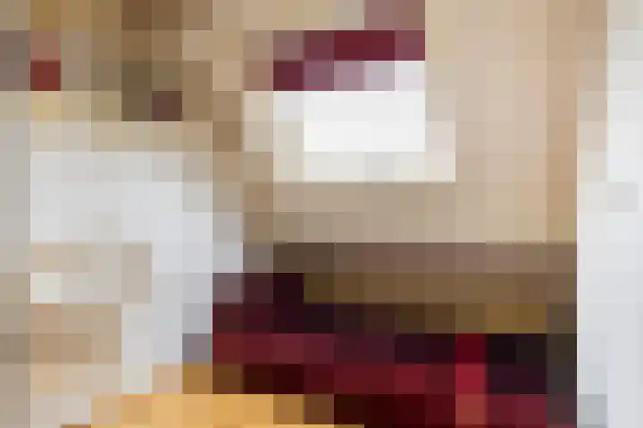 Het Jaagpad 42 Linschoten thumbnail 26