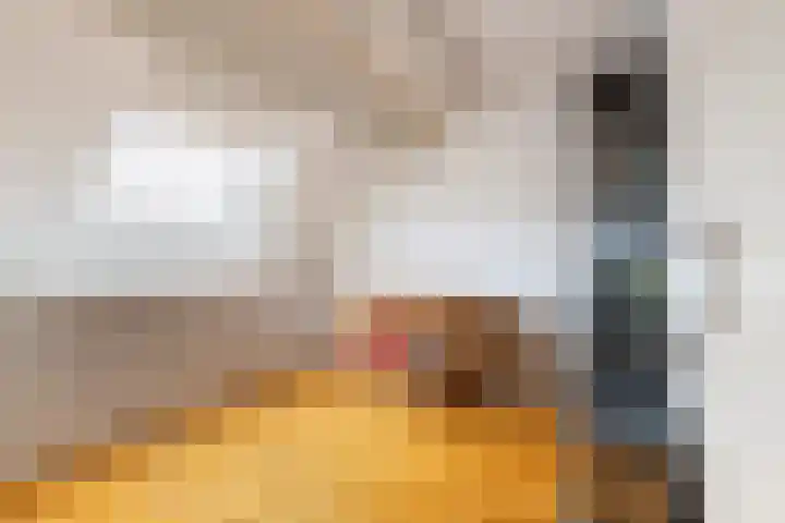 Het Jaagpad 42 Linschoten thumbnail 27