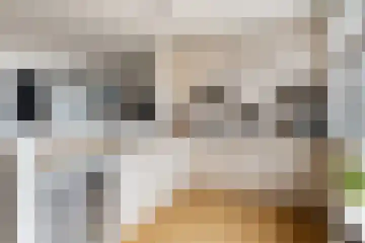 Het Jaagpad 42 Linschoten thumbnail 9