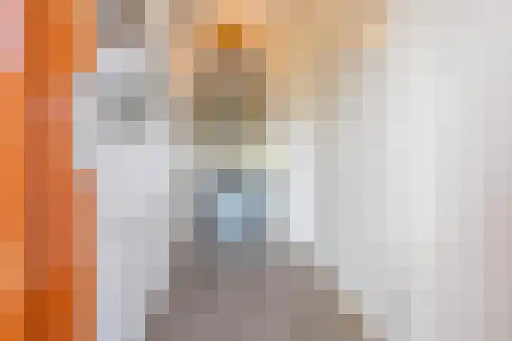 Het Jaagpad 52 Tiel thumbnail 11