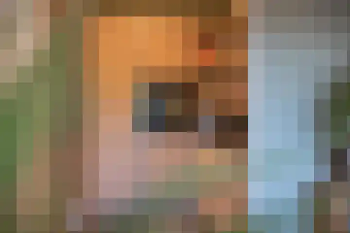 Het Jaagpad 52 Tiel thumbnail 27