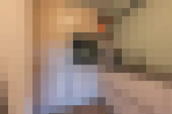 Het Jaagpad 52 Tiel thumbnail 28