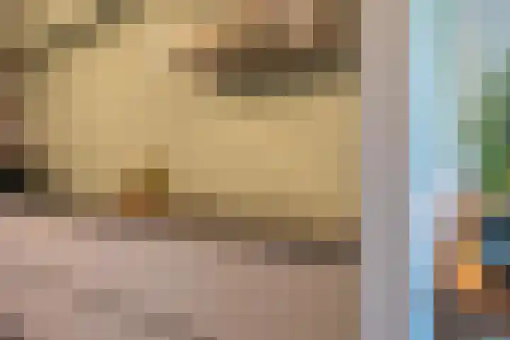 Het Jaagpad 52 Tiel thumbnail 30