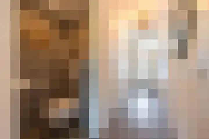 Het Jaagpad 52 Tiel thumbnail 32