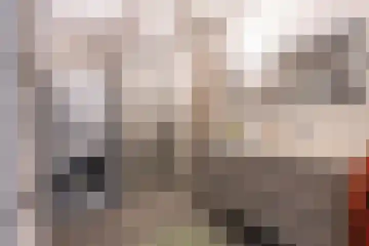 Het Jaagpad 52 Tiel thumbnail 33