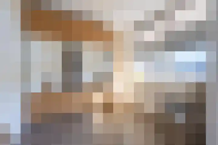 Het Jaagpad 52 Tiel thumbnail 38