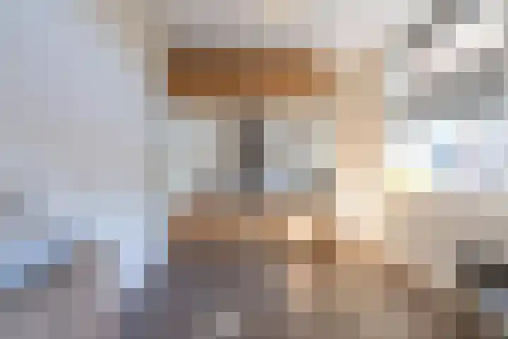 Het Jaagpad 52 Tiel thumbnail 39