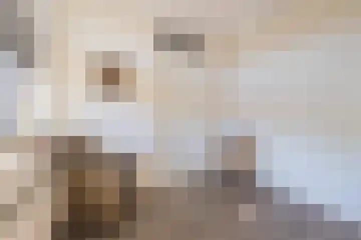 Het Jaagpad 52 Tiel thumbnail 40