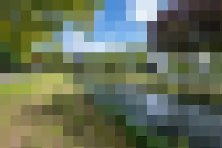 Het Jaagpad 52 Tiel thumbnail 5