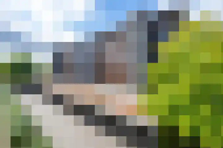 Het Jaagpad 52 Tiel thumbnail 7