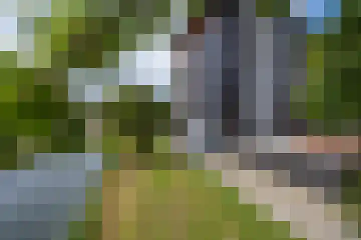 Het Jaagpad 52 Tiel thumbnail 8