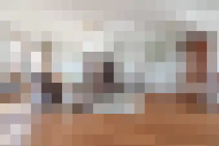 Het Jaagpad 54 Tiel thumbnail 10