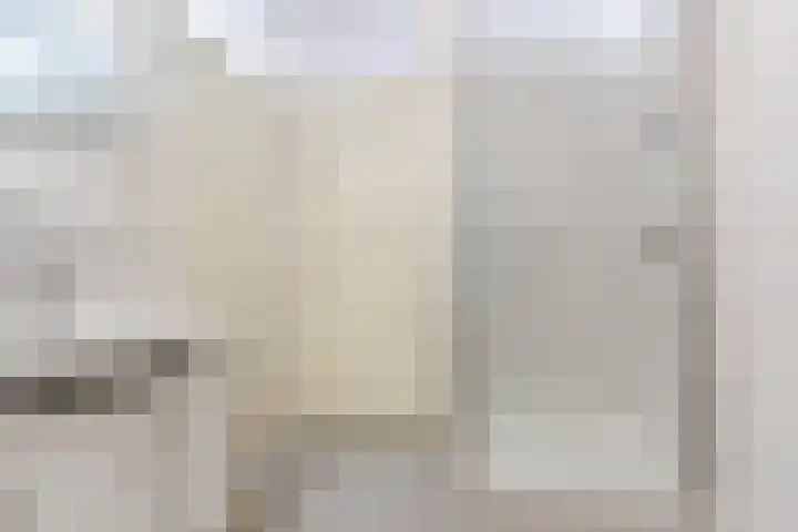 Het Jaagpad 54 Tiel thumbnail 23