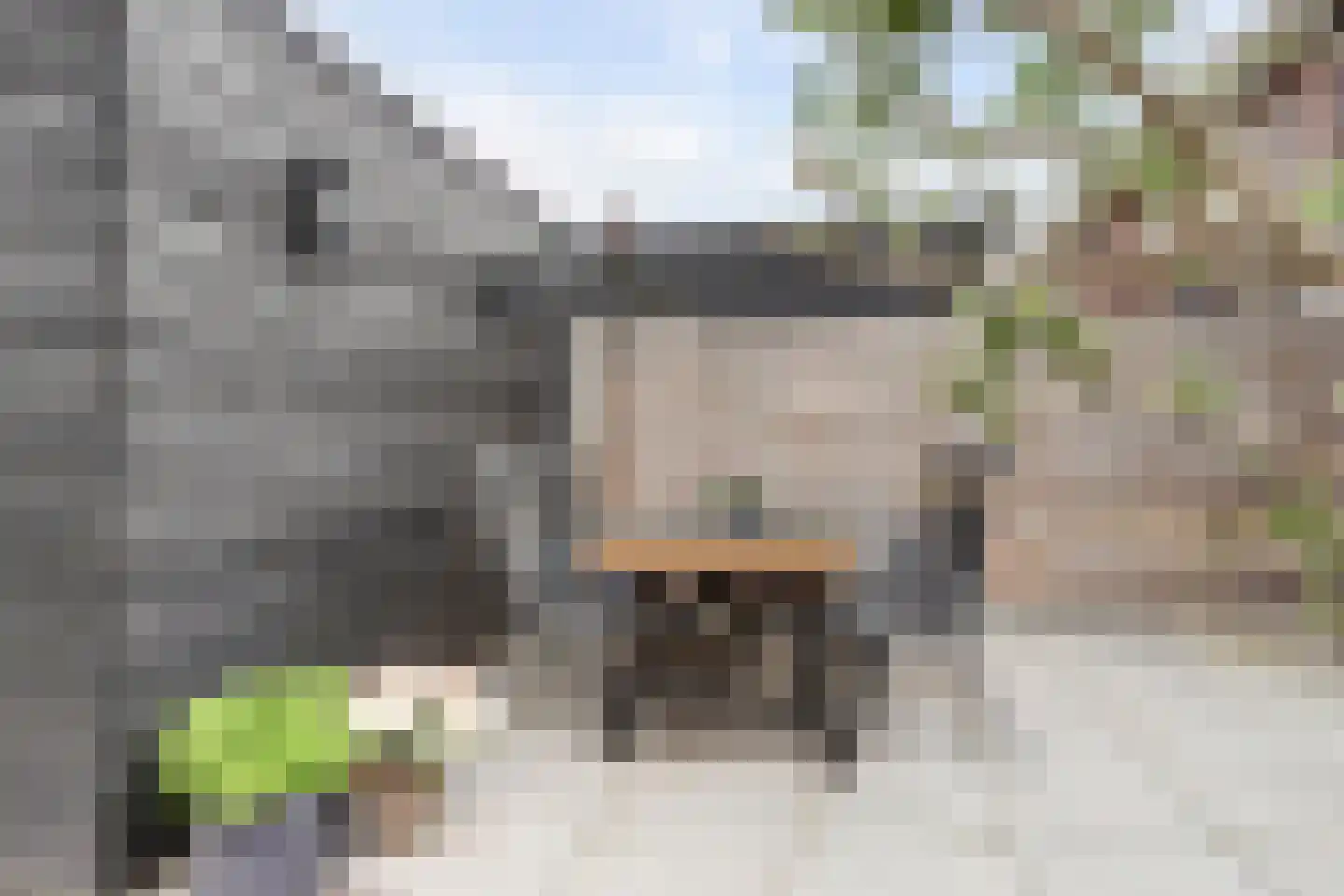 Het Jaagpad 7 Meteren thumbnail 35