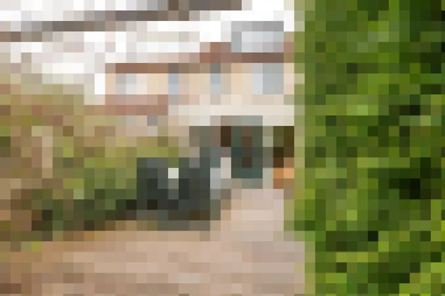 Het Jaagpad 75 Linschoten thumbnail 29