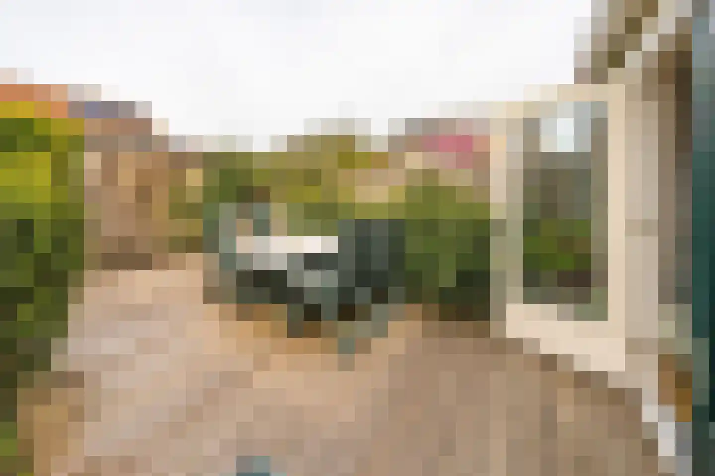 Het Jaagpad 75 Linschoten thumbnail 30