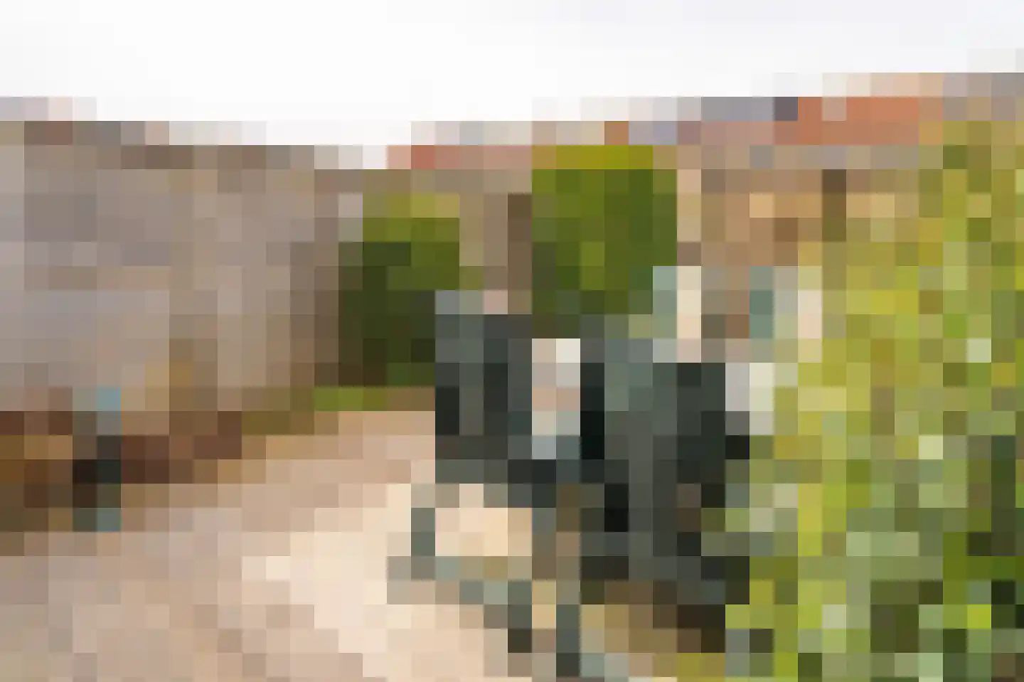 Het Jaagpad 75 Linschoten thumbnail 31