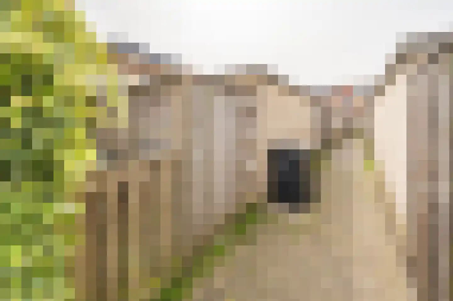 Het Jaagpad 75 Linschoten thumbnail 34
