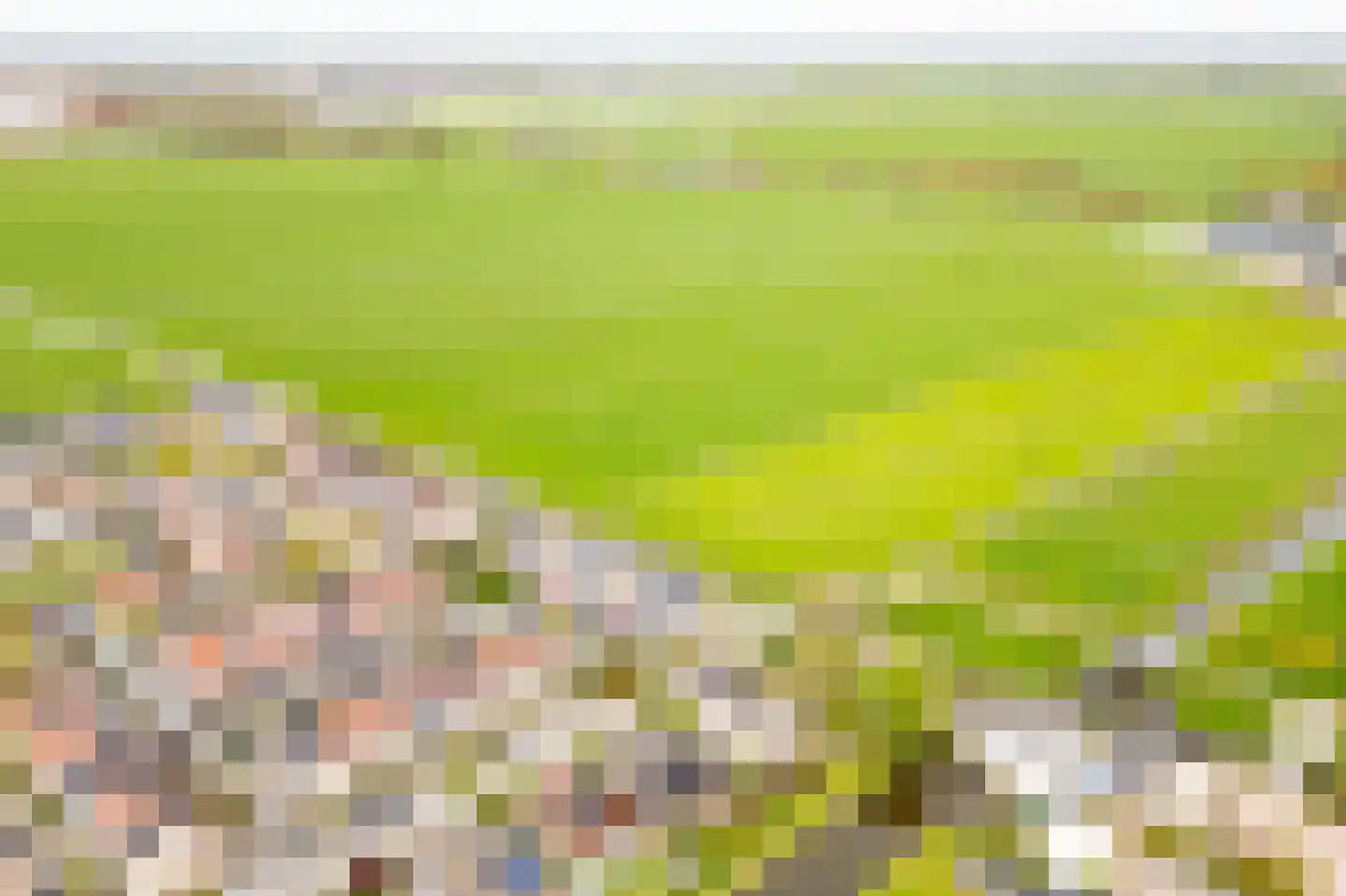 Het Jaagpad 75 Linschoten thumbnail 35