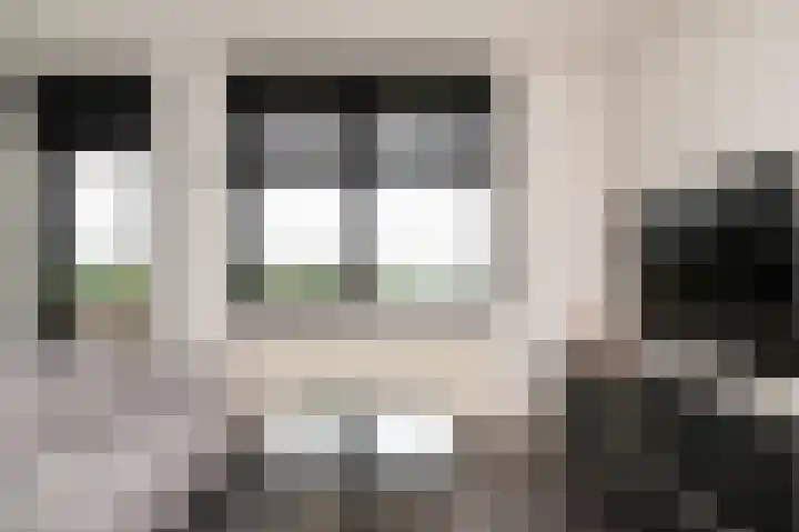 Het Jaagpad 80 Tiel thumbnail 13