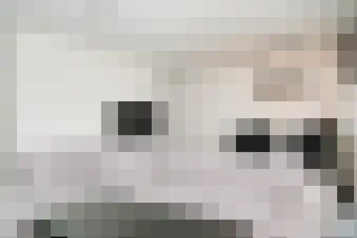 Het Jaagpad 80 Tiel thumbnail 14
