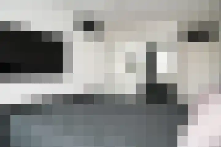 Het Jaagpad 80 Tiel thumbnail 18