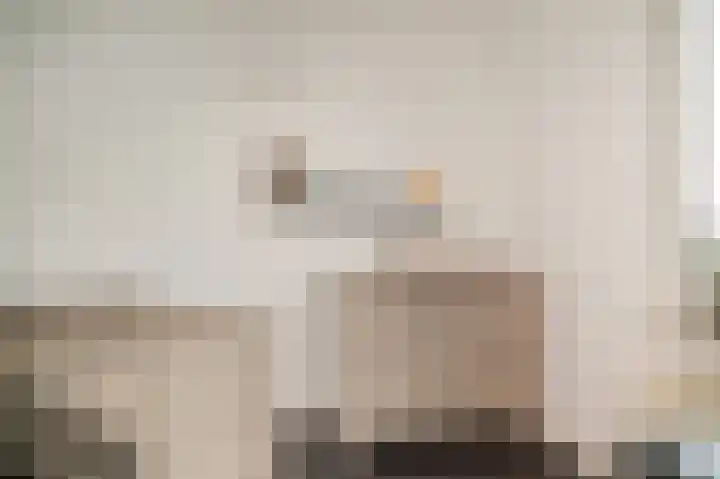 Het Jaagpad 80 Tiel thumbnail 21