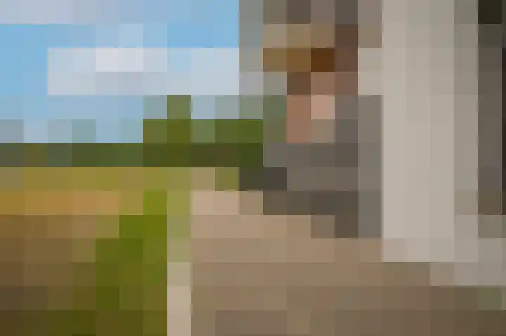 Het Jaagpad 80 Tiel thumbnail 25