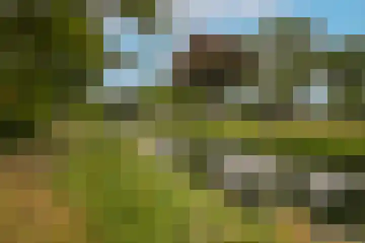 Het Jaagpad 80 Tiel thumbnail 26