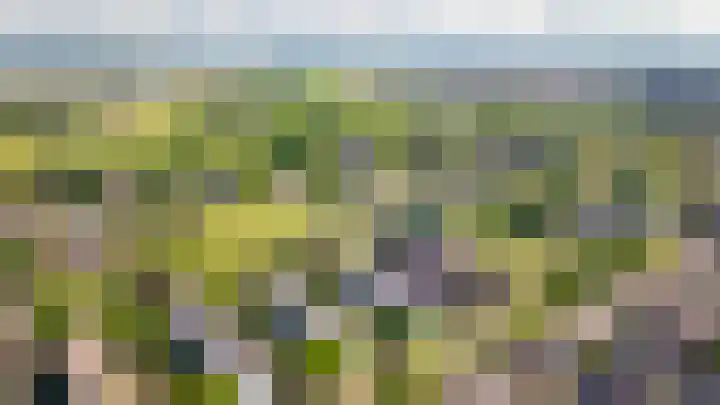 Het Jaagpad 80 Tiel thumbnail 33