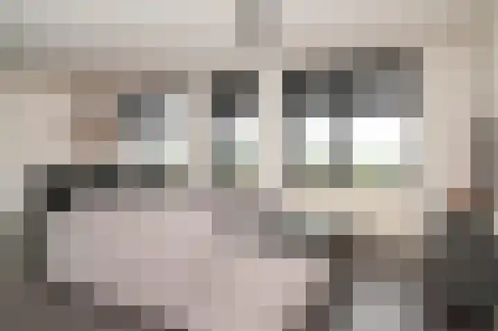 Het Jaagpad 80 Tiel thumbnail 5
